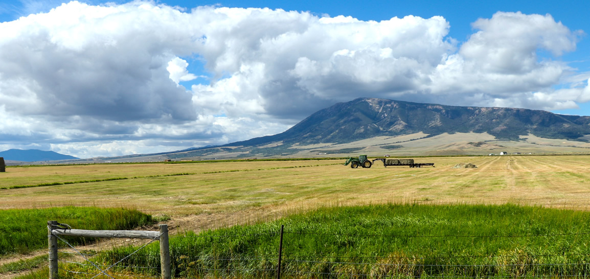 Stick to Trails, Stay on Durable Surfaces