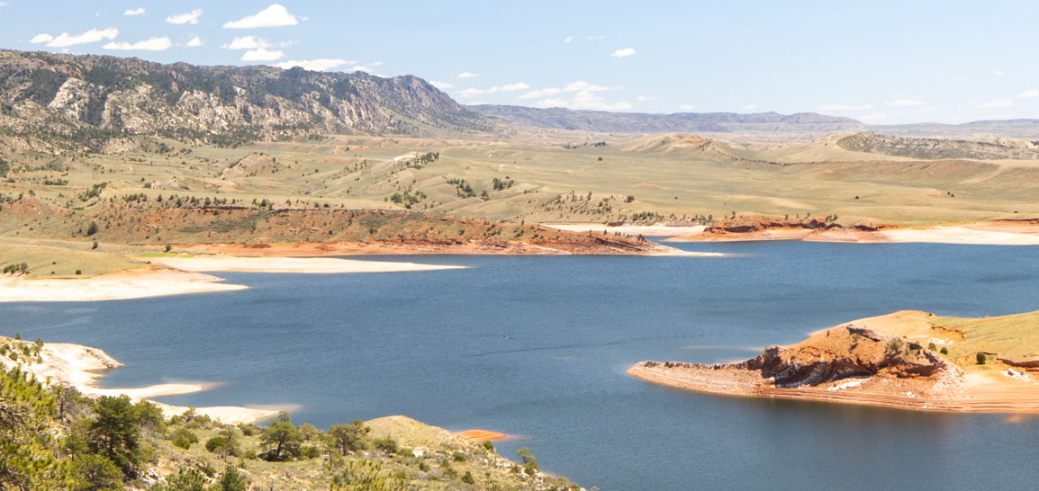 Keep the Area Clean—Dispose of Waste Correctly