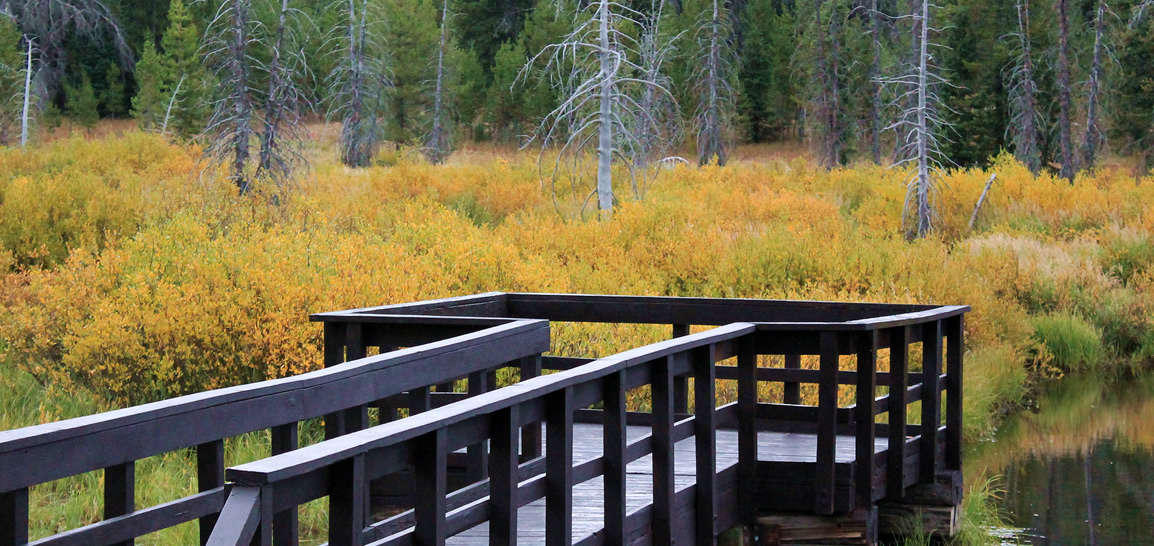 Take only pictures, leave only footprints.